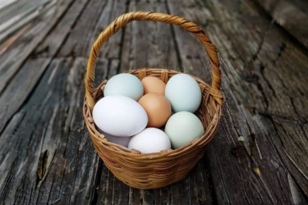 Ystgård gartneri og blomster 2